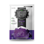 Nature’s Factory • Gelatina en Polvo sabor Uva / Pack de 10 pzas