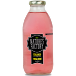 Nature’s Factory • Té Blanco Sabor Fresa Kiwi Sin Azúcar | 12 piezas