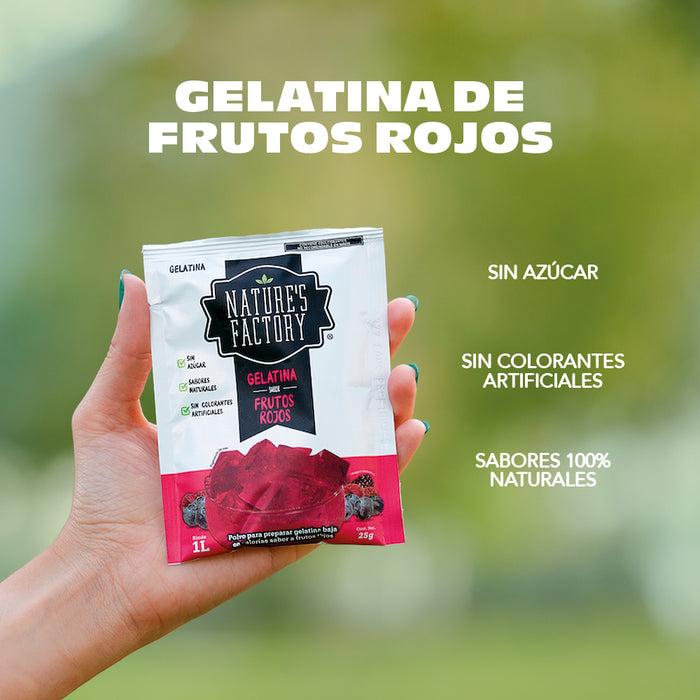 Nature’s Factory • Gelatina en Polvo sabor Frutos Rojos / Pack de 10 pzas