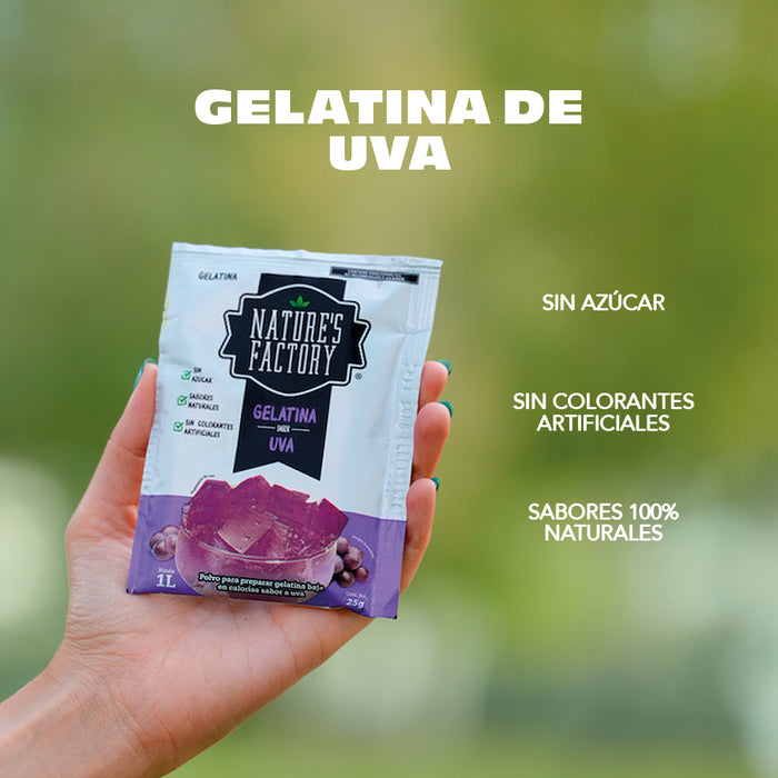 Nature’s Factory • Gelatina en Polvo sabor Uva / Pack de 10 pzas