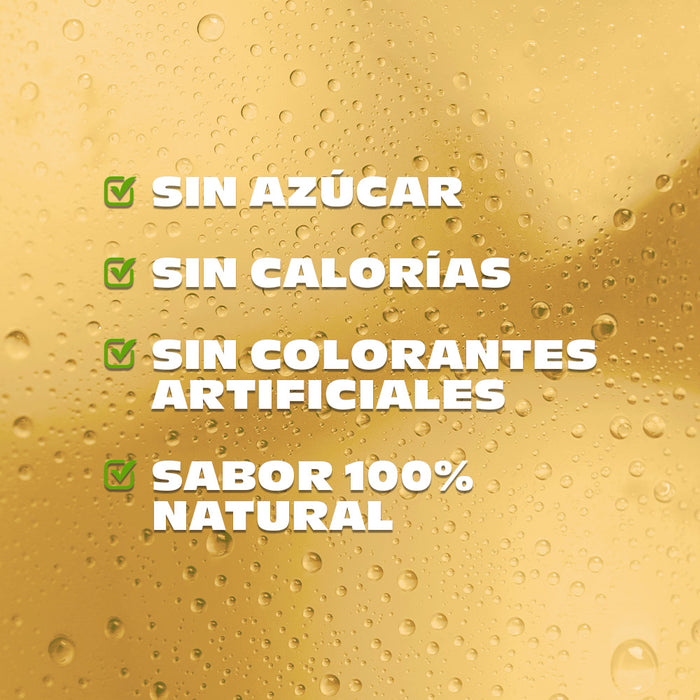Nature’s Factory • Bebida Sabor Limonada Con Té Negro Sin Azúcar | 12 piezas