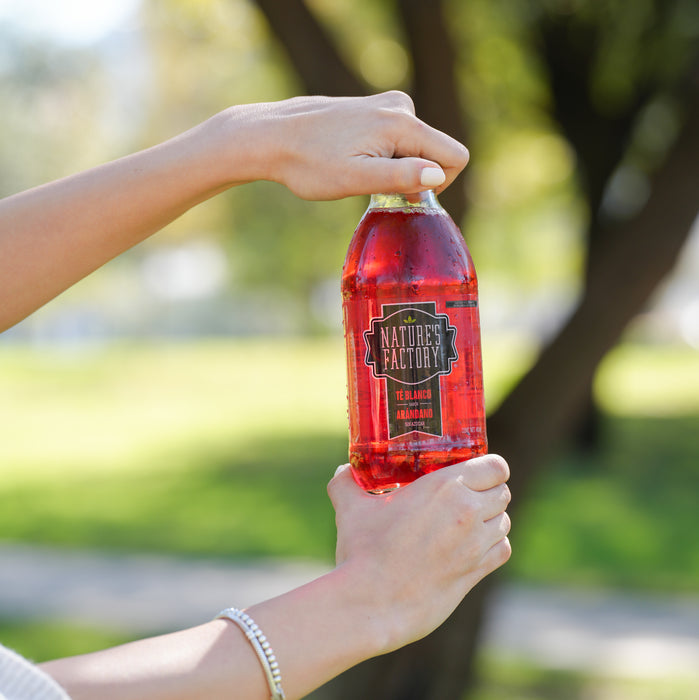 Nature’s Factory • Té Blanco Sabor Arándano Sin Azúcar | 12 piezas